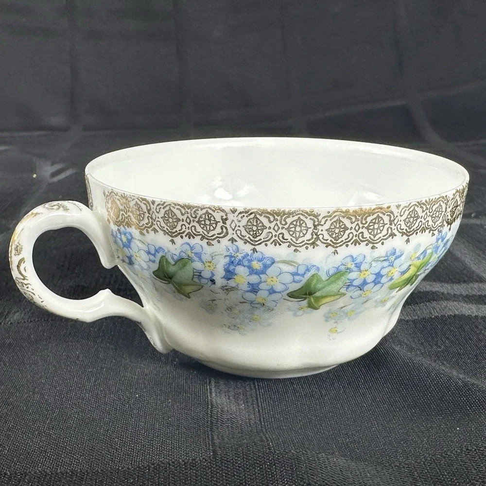 Forget-Me-Not Tea cup Saucer Translucent Fine Porcelain Gold Filigree Ivy ANTQ